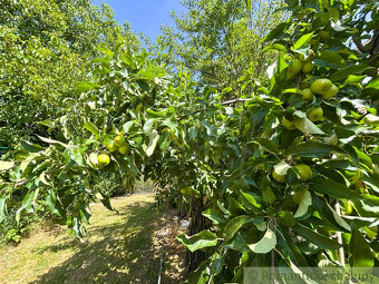 Vidiecky domček so záhradou, vhodný aj na chalupu v obci Z - 18