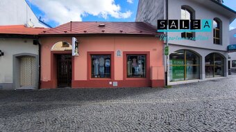 RODINNÝ DOM PRIAMO V CENTRE MESTA, PODLAHOVÁ PLOCHA 248m2, Ž - 18