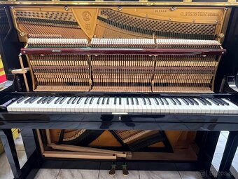 C-Bechstein mod. 8 v záruce. Doprava je možná - 18