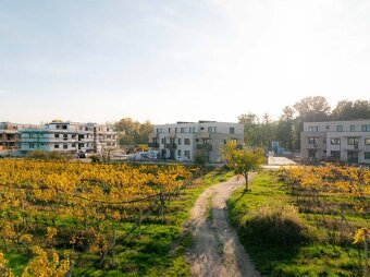 TOREA - ZELENÉ NIVY - 2i BYT S BALKÓNOM V BYT. DOME D - PEZI - 18