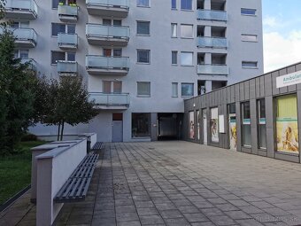 Prenajmem 2 izbovy byt s garazovym statim - 18
