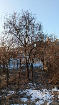 Kosenie pozemkov - 18