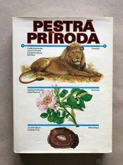 Pestrá príroda, Golf, První kroky na FOREXu, Slovenský futba - 18