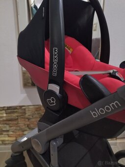 Roan Bloom - 18