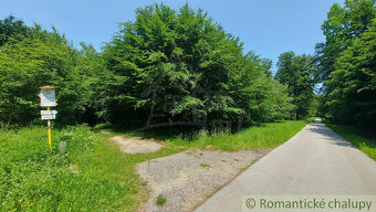 Chata na vlastnom pozemku obklopená lesmi Myjavské kopanic - 18