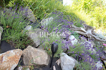 Na predaj záhradná chatka s výborným prístupom a saunou - Hu - 18