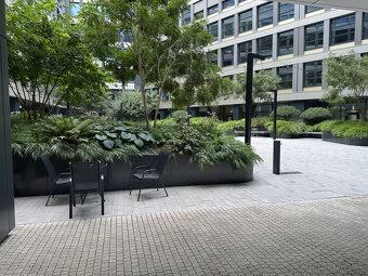 Prenájom obchodného priestoru 333 m² v skvelej lokalite v ce - 18