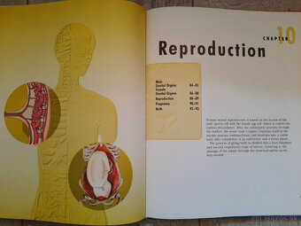 The Body - Organs, Body Systems, Functions - 18