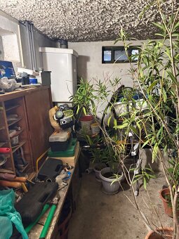 Predam chatu Svaty Jur - 18