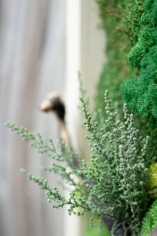 🌿 Machové obrazy na mieru – príroda vo vašom interiéri - 18