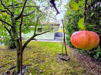 rodinný dom / vila MASLOVCE ( ČENKOVCE / OĽDZA ) 20 á pozemo - 18