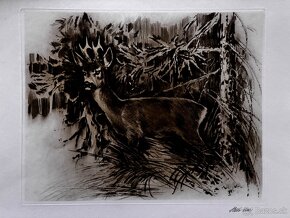 Ales Vaic - lesnicka tematiky - 18