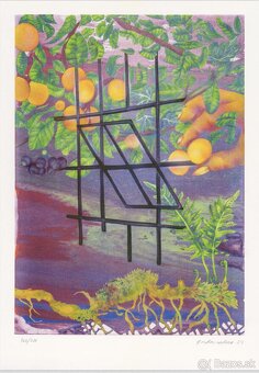 Cierne Diery - Rozne grafiky - 18