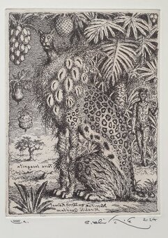 Peter Kľúčik - 18