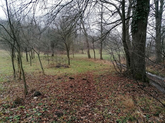 STAVEBNÝ POZEMOK PRI POTOKU 1963 m2 BRESTOVEC okres MYJAVA - 18