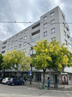 Elegantný, zrekonštruovaný veľkometrážny byt v centre Bratis - 18