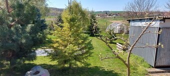 REZERVOVANÉ, Praktický RD s krásnou záhradou. - 18