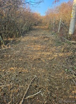 Čistenie pozemkov od naletovych drevín lesná fréza - 18