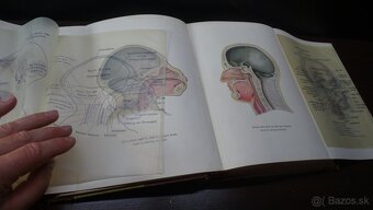 Weltall und Menschheit I-V. - 18