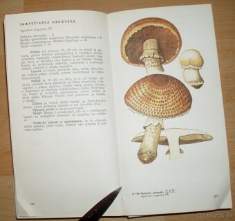 Naše huby - 18