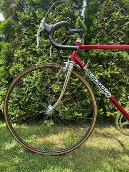 Colnago Nuovo Mexico - 18