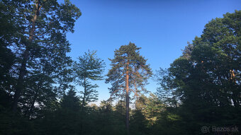 Prenajmem ( predám ) zabehnutý hotel pri R1 medzi BB ZV - 18