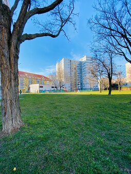 3 izbovy byt Petrzalka, BA, klima, balkon, rekonstrukcia - 18