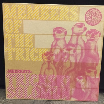 techhouse house vinyly - 18