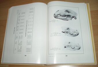 Zlaté trofeje ČSS - 18