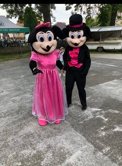 Párty s maskotmi , labkova patrola, šmolkovia , mickey mouse - 18