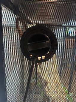 Terárium s chameleónom - 18