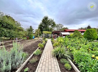 HALO reality - Predaj, záhradná chata Levice, s altánkom, ud - 18