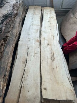 Vysušené javorové fošne, javor horský - 18