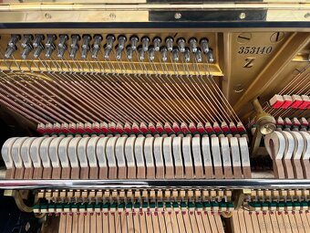 Steinway &Sons se zárukou 2 roky, doprava zdarma. - 18