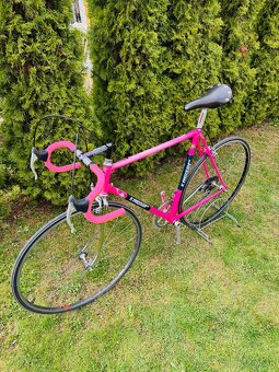 F.Moser Team SLX - 18