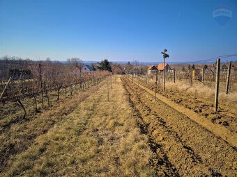 Viničný domček na pozemku 1648 m², Melek (Vráble) - 18