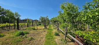 PNORF – 4i rod. dom s prístavbou, pozemok 1632 m2, Sasinkovo - 18