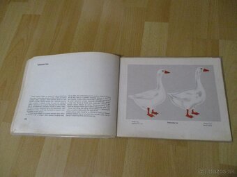 Atlas plemien hydiny - 18
