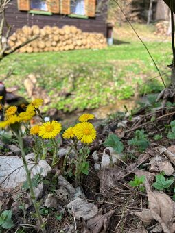 Predaj chaty v Nízkych Tatrách - 18