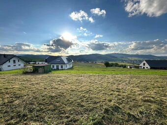 kosenie trávy,strihanie stromčekov- detail Grasscare - 18