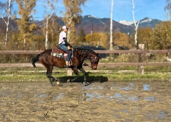 tréning koní - obsadanie - 18