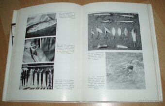 Hlavátka - 18