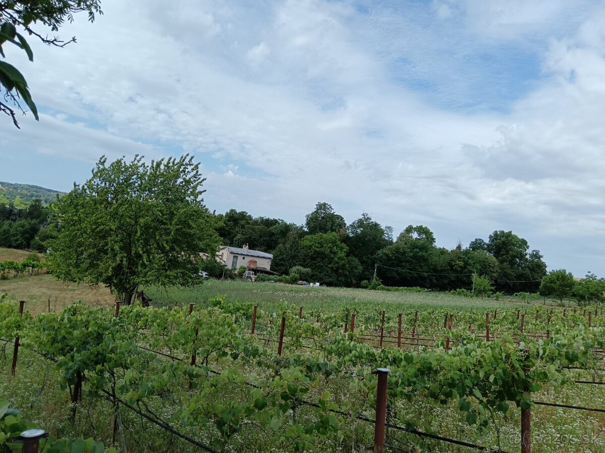 Rodinný dom s velkým pozemkov v blízkosti kupelov Dudince - 19