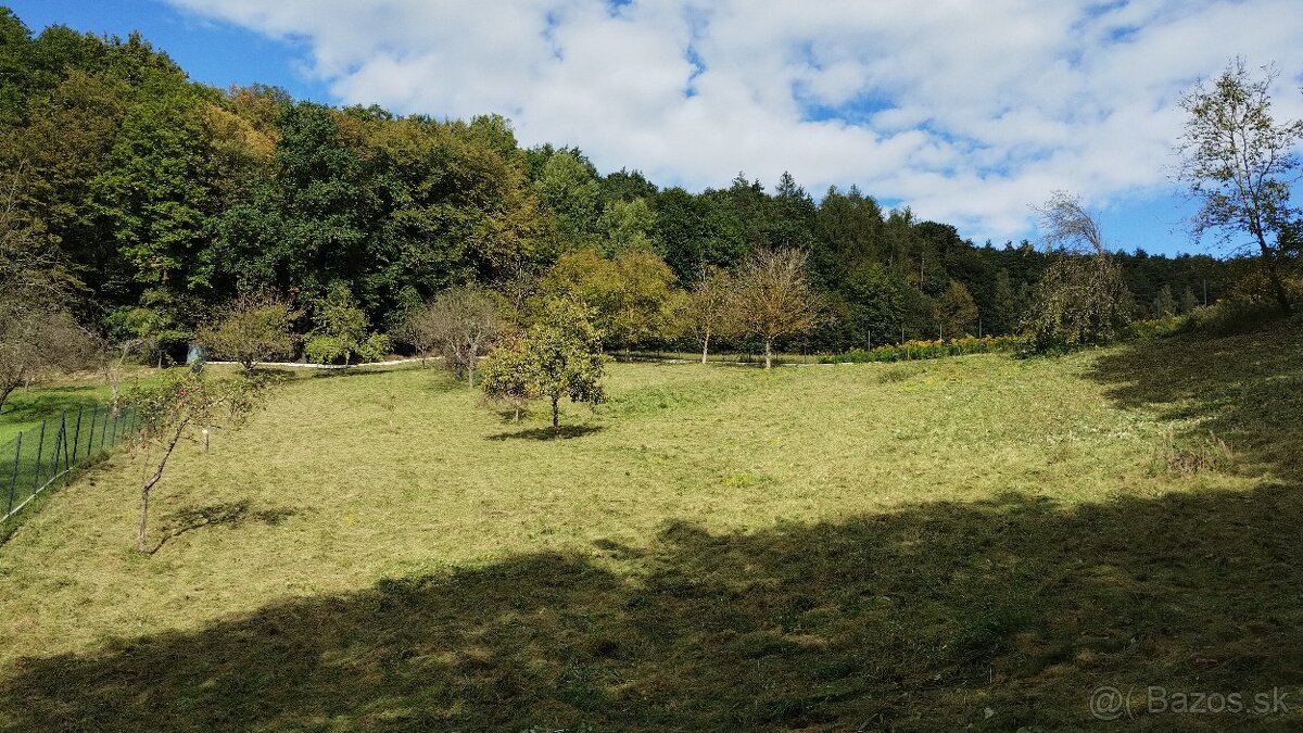 Kosenie a úprava záhrad - 19