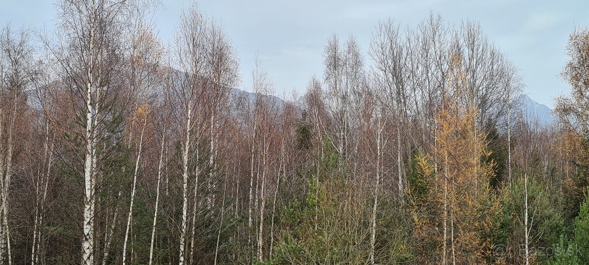 Apartmán Tatry od majiteľa - 19
