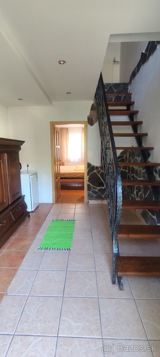 Predaj penziónu a chaty dražbou v obci Vinné - 19