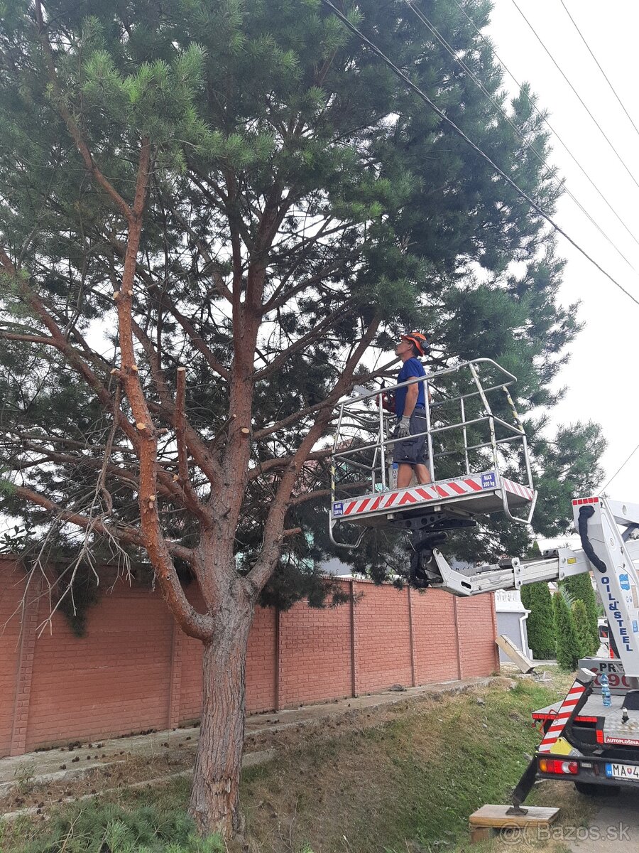 Prenájom plošiny Montážna plošina - 19