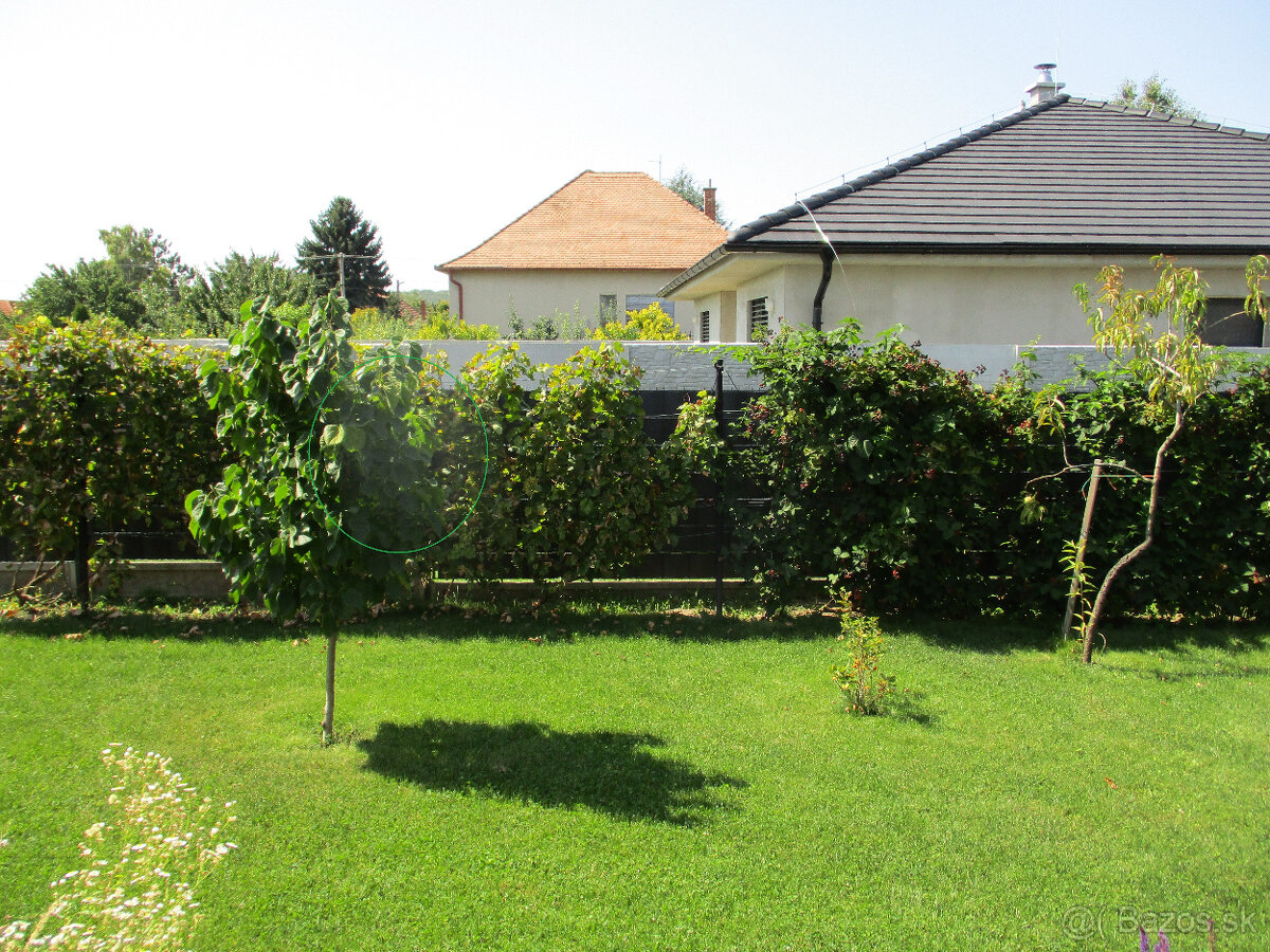 Canon IXUS 185 červený - 19