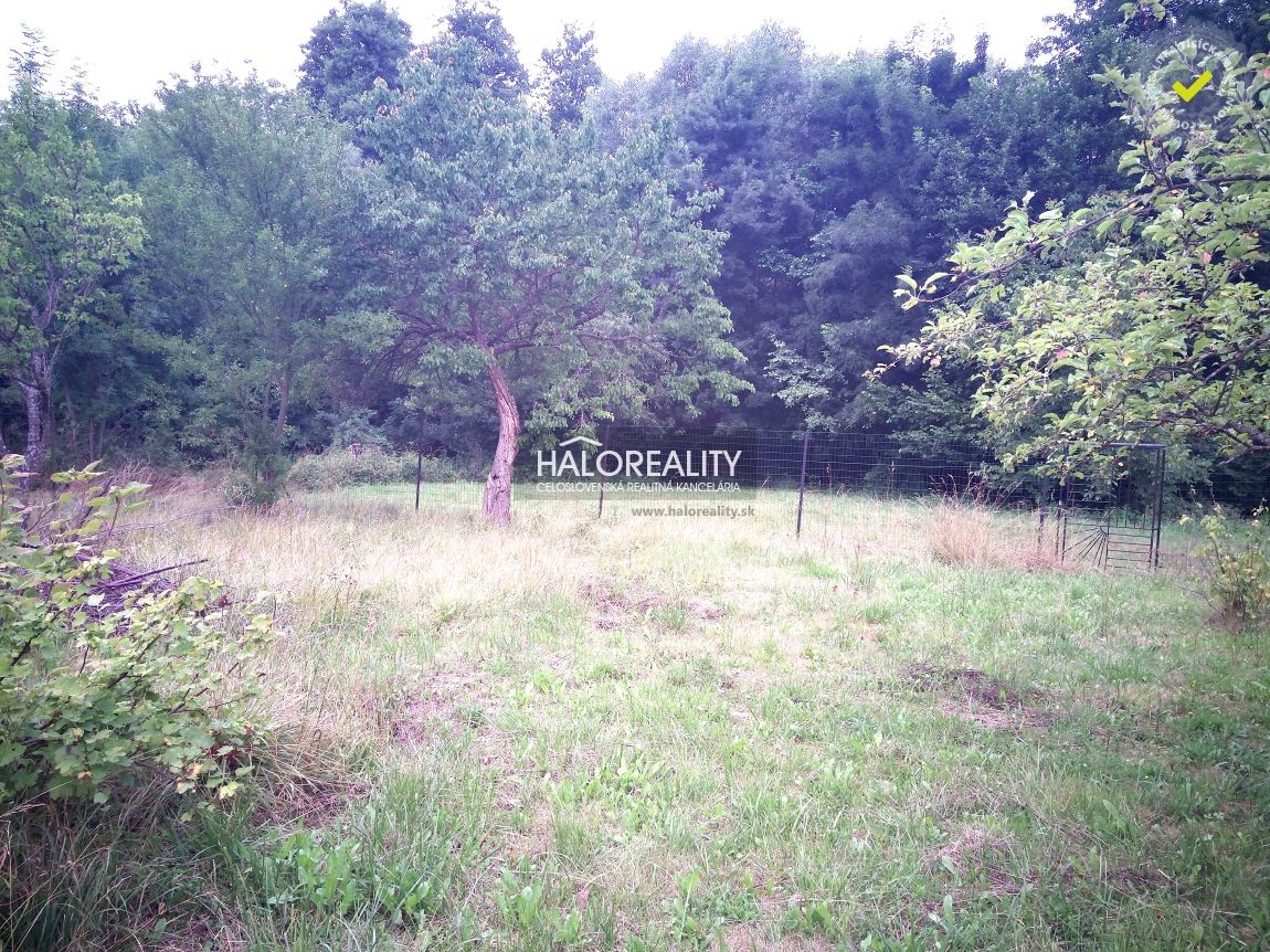 HALO reality - Predaj, rodinný dom Dlžín - ZNÍŽENÁ CENA - EX - 19