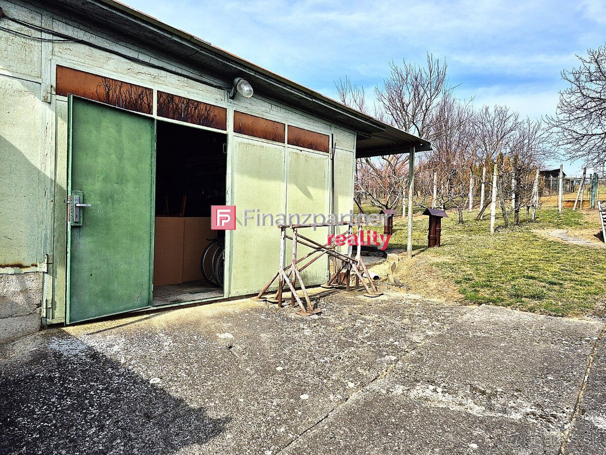 3 izbový dom s veľkým pozemkom v obci Radošina - 19